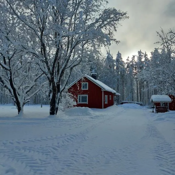 Esterin Tupa, Alajärvi，位于Soini的酒店