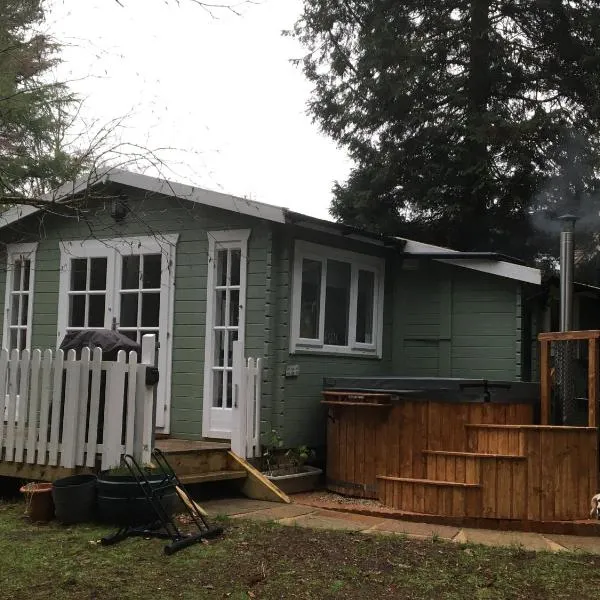 Woodland Cabin With private Wood-Fired Hot-Tub，位于法纳姆的酒店