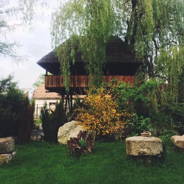 Casa Ott，位于Strîmtura的酒店