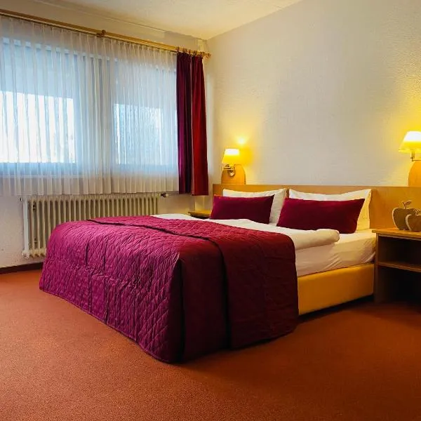 祖姆高登阿德勒旅馆，位于Maroldsweisach的酒店