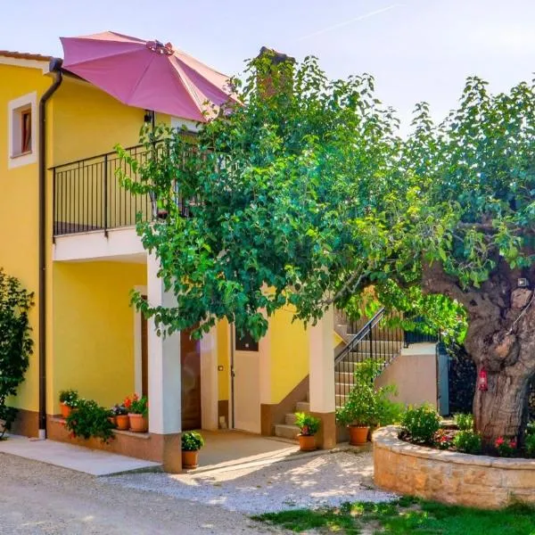 Studio Apartment Gianni，位于维齐纳达的酒店