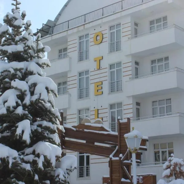 Borapark Otel，位于埃尔祖鲁姆的酒店