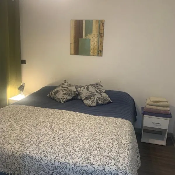 Selma Apartment Ñuñoa Best Suite，位于Cajon del Maipo的酒店