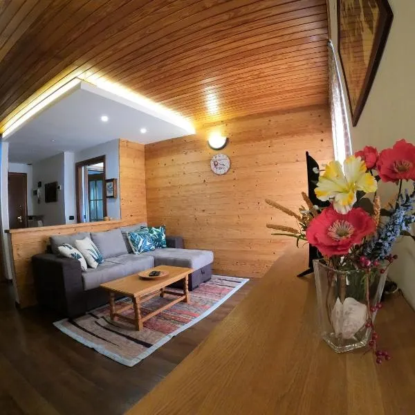 Mansarda Bellavista - Your Mountain Holiday，位于Premana的酒店