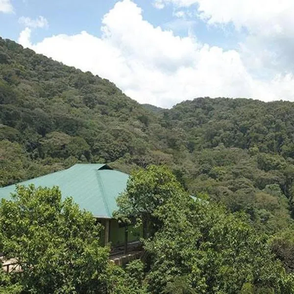 Gorilla Hills Eco-lodge，位于Rubuguli的酒店