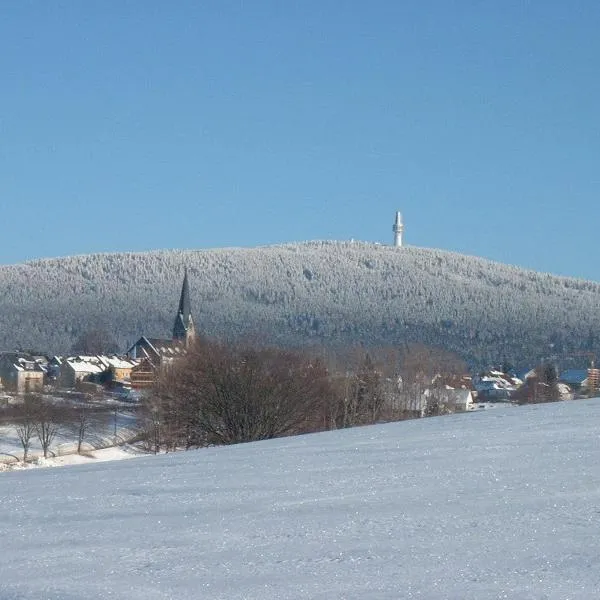 普切勒-盖瑟霍夫德意志阿德勒饭店，位于比绍夫斯格林的酒店