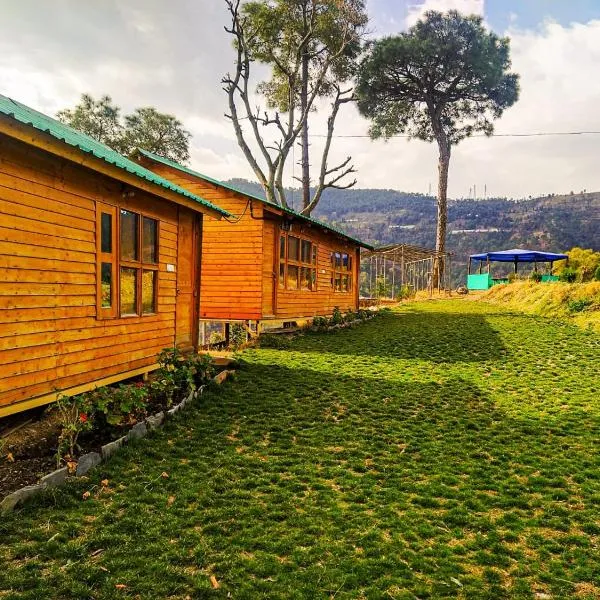 Golden valley cottages, Chail，位于柴尔的酒店