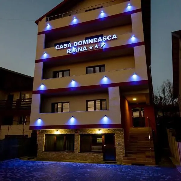 Casa Domneasca Riana，位于Albota de Jos的酒店