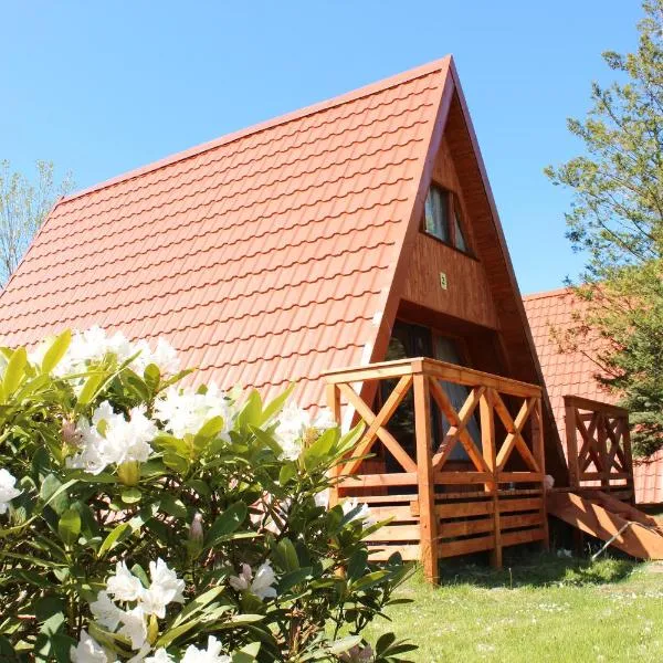Ośrodek Wypoczynkowy Camping nr 156，位于罗威的酒店