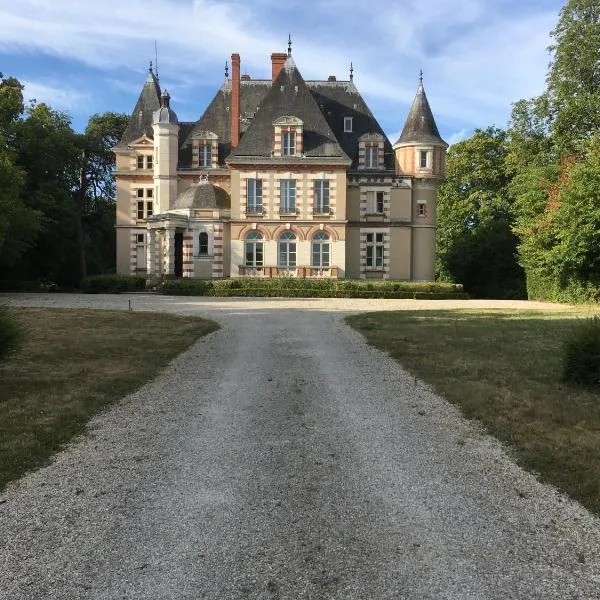 Château de Praslins，位于Saint-Hilaire-sur-Puiseaux的酒店