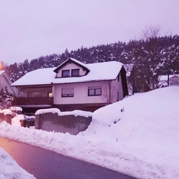 An der grünen Donau - Ferienwohnung, Monteurwohnung, wir bieten keine Parkplätze, Verpflegung oder Tücher an, Parken NUR gegenüber auf der Straßenseite，位于Immendingen的酒店