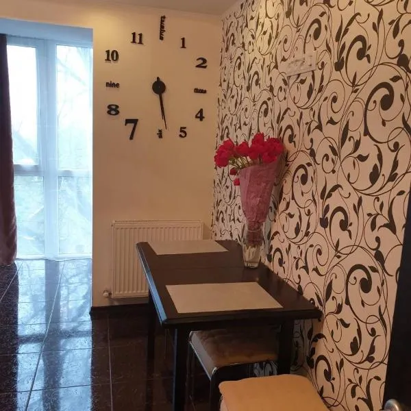 Elena's Holiday Apartment，位于卡缅涅茨-波多利斯基的酒店