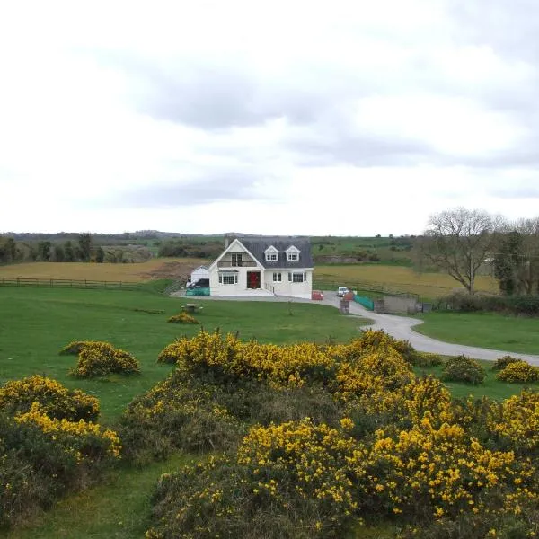 The Curragh Country House Accommodation，位于Kilcullen的酒店