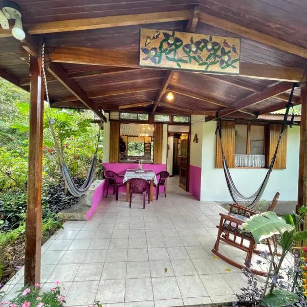 Finca Isla Rainforest Retreat，位于Cooper的酒店