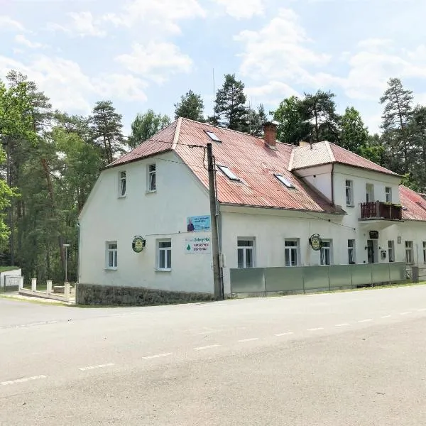 Penzion Zelený Háj，位于Staňkov的酒店