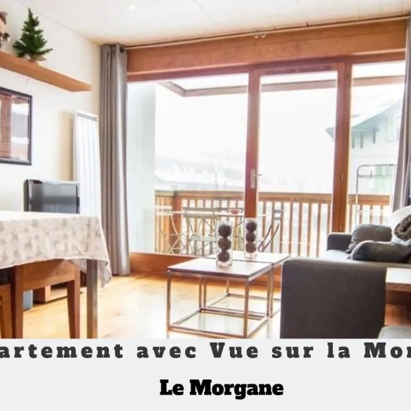 2 Appartements à Chamonix centre ville, vue Mont-Blanc, Lyret ou Morgane，位于阿让蒂耶尔的酒店
