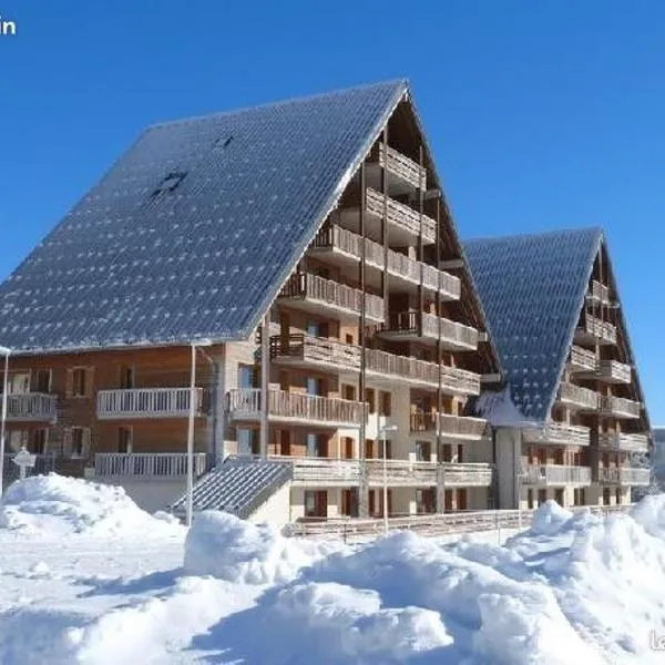 superbesse Appartement 4-6 pers. 2 ch. Dans résidence 3 étoile avec piscine，位于贝斯和圣阿纳斯泰斯的酒店