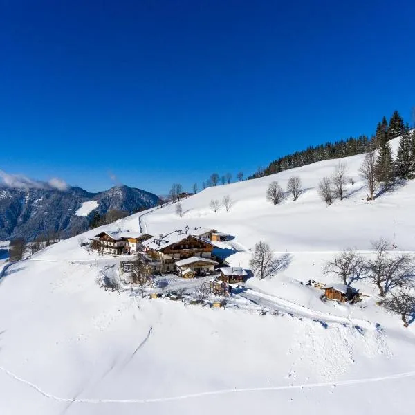 Alpengasthof Gruberhof，位于瑟尔的酒店