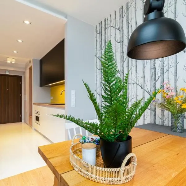 Triventi Mountain Residence Karpacz Sunrise，位于卡尔帕奇的酒店