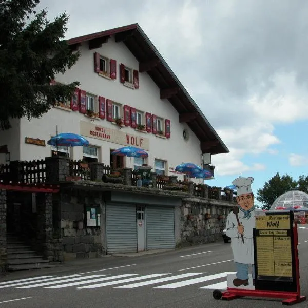沃尔夫餐厅酒店，位于Urbès的酒店