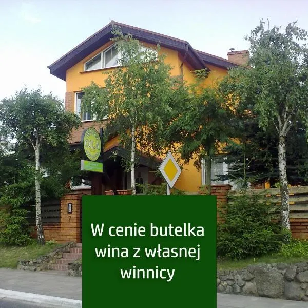 Agroturystyka Willa Ola，位于Ostrowite的酒店