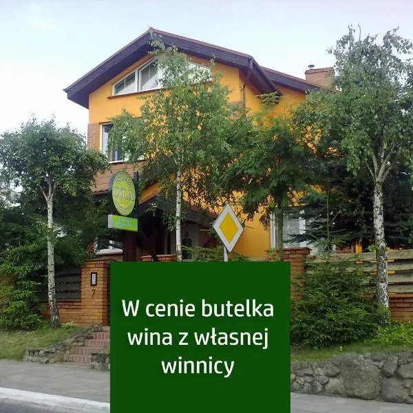 Agroturystyka Willa Ola，位于Lipnica的酒店