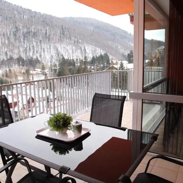 Belleview Relax Sinaia，位于锡纳亚的酒店