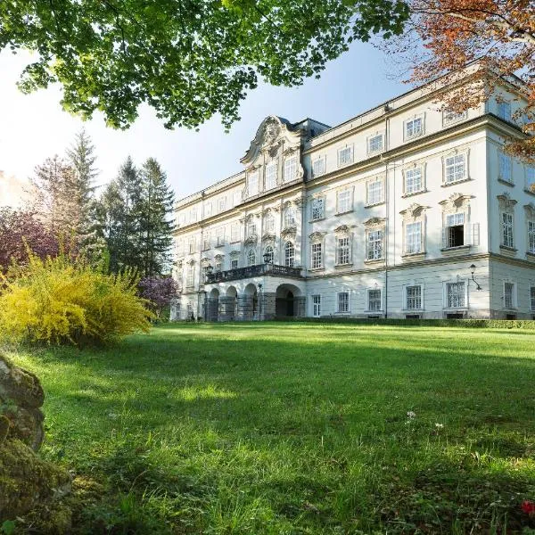 莱奥帕尔茨克龙城堡酒店，位于哈莱因附近普赫的酒店