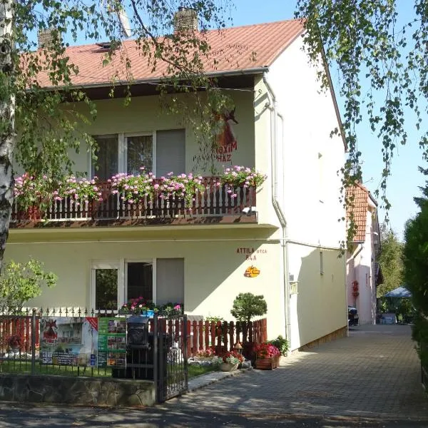 Maxim Ház，位于Vindornyalak的酒店