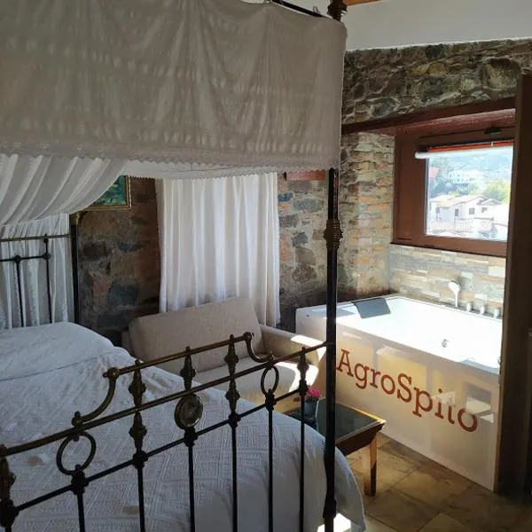 AgroSpito Traditional Guest House，位于Pelendri的酒店