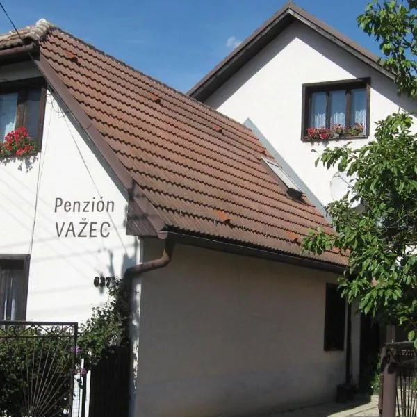 Penzion Važec，位于Važec的酒店