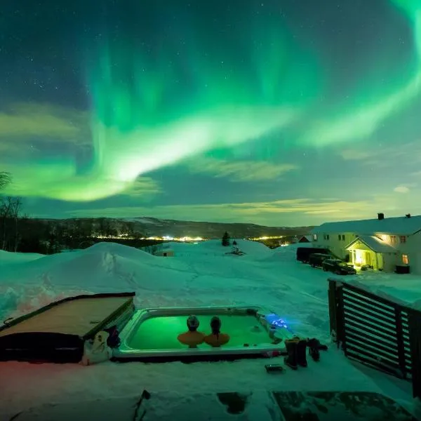 Aurora Borealis Observatory，位于Høibo的酒店