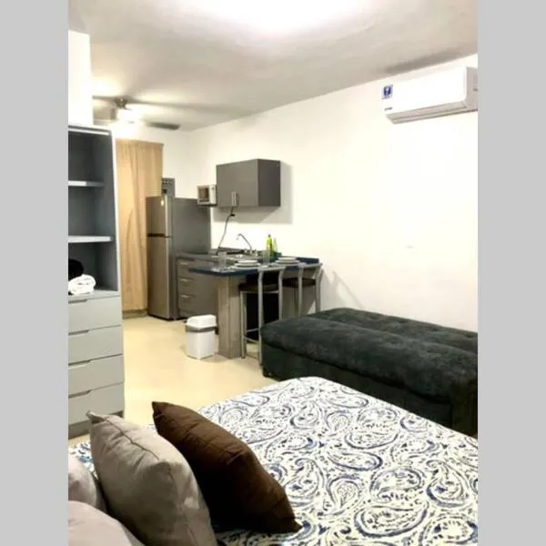 Increíble departamento privado，位于蒙特雷的酒店