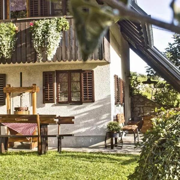 Vineyard cottage Podržaj，位于Škocjan的酒店