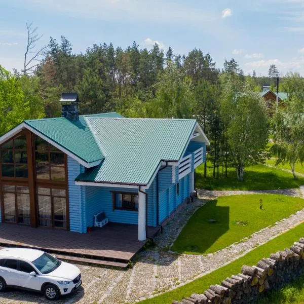Lake House Стрижевка，位于Tsarivka的酒店
