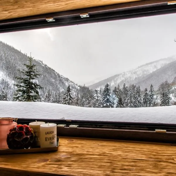 Apartments Srdiecko - JASNA South, FOREST View, SAUNA in One Apt FIREPLACE in Both，位于塔莱的酒店