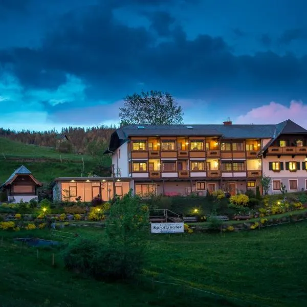 斯普雷兹兰德酒店，位于泰哈姆山麓弗拉德尼茨的酒店