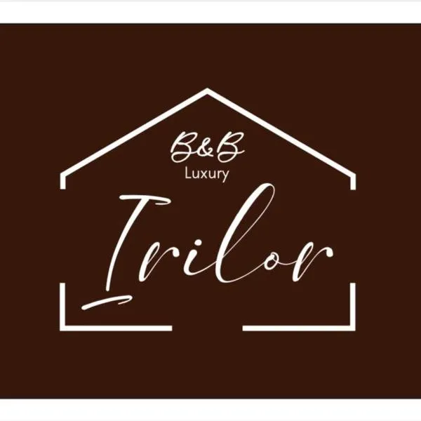 Irilor Luxury B&B，位于瓦雷多利亚的酒店