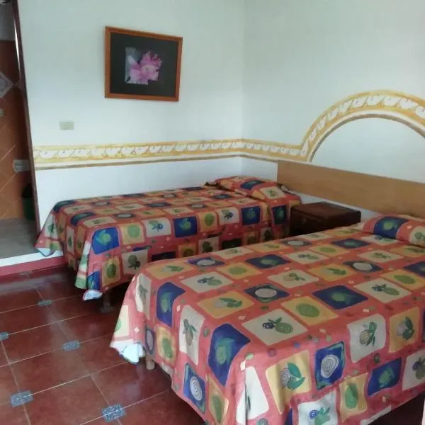 Posada Los Naranjos，位于Teocelo的酒店