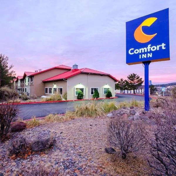 Comfort Inn Near Gila National Forest，位于银城的酒店