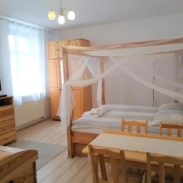 Apartament Pijarska，位于新松奇的酒店