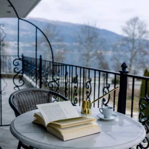 Akti Hotel Ioannina，位于约阿尼纳的酒店