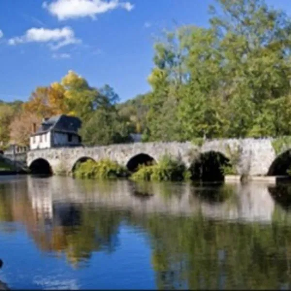 LES HORTENSIAS Spacieuse Maison en ardoise du pays FIBRE，位于Voutezac的酒店