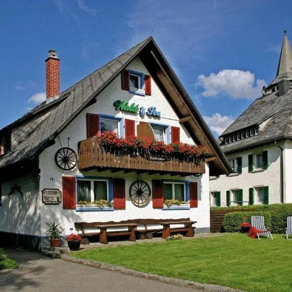 希尔瓦尔德酒店，位于Friedenweiler的酒店
