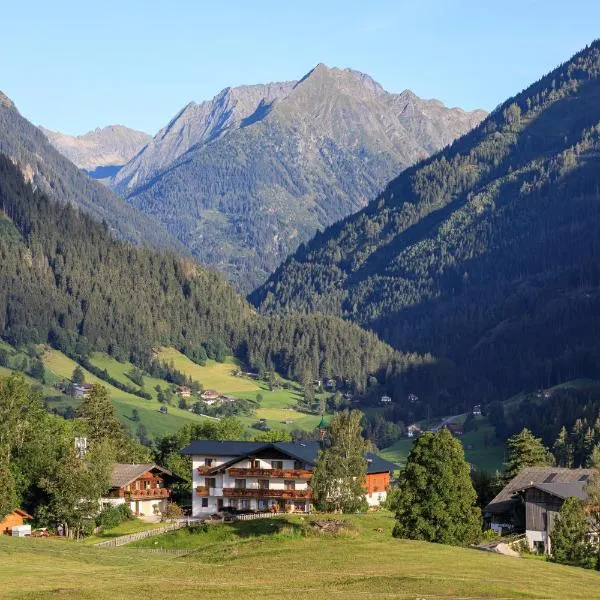 Pension Stammerhof，位于斯拉德明的酒店