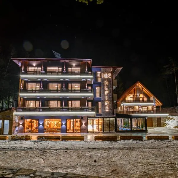 103 Alpine Hotel，位于Ovchartsi的酒店