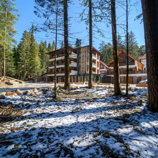 103 Alpine Hotel，位于潘尼希特的酒店