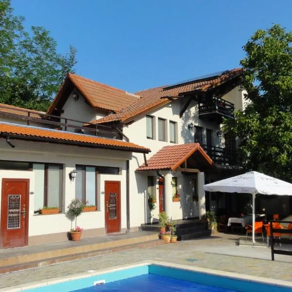 Vila Europa，位于Grăjdana的酒店