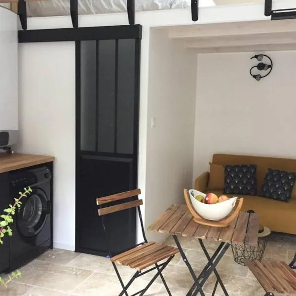 Studio Moderne，位于Saint-Symphorien-dʼOzon的酒店