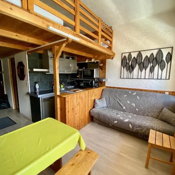 SUPER LIORAN - APPARTEMENT ENTIÈREMENT ÉQUIPÉ，位于拉维西尔的酒店